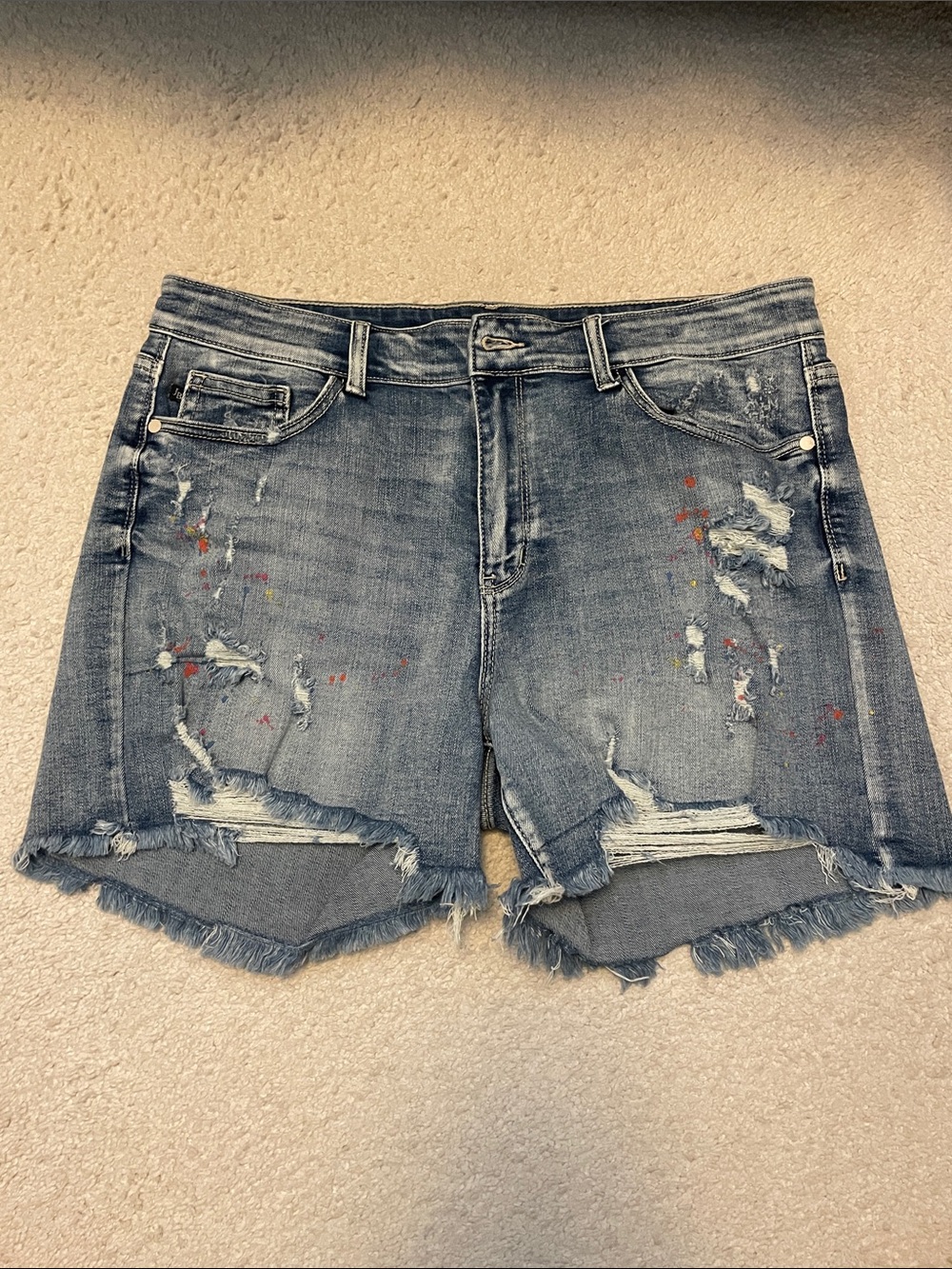 Lot of Two Judy Blue Distressed Denim Shorts - Picture 5 of 7